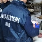 I carabinieri di Mondragone sequestrano 300kg di carne e pesce privi di tracciabilità